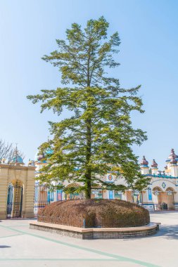 Güney Kore - 6 Mart: Mimarisi ve tanımlanamayan turizm
