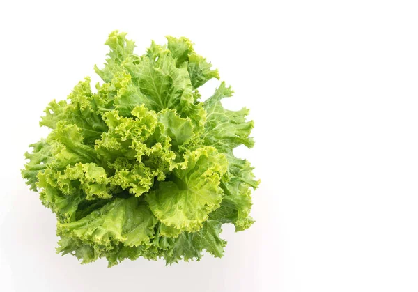 Friss saláta fehér alapon — Stock Fotó