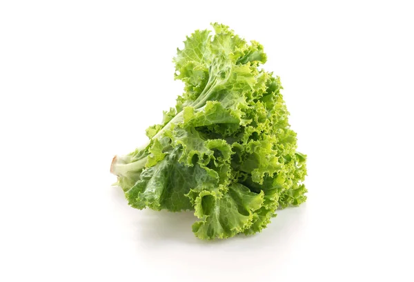 Frischer Salat auf weißem Hintergrund — Stockfoto