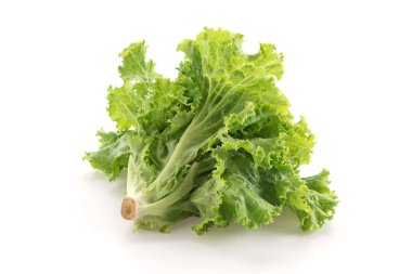 Beyaz arkaplanda taze marul