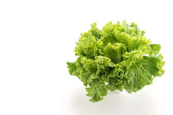 Свіжий салат на білому тлі — стокове фото