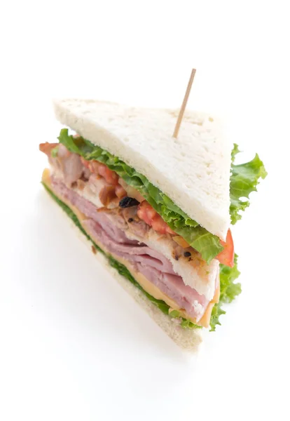 Sandwich su sfondo bianco — Foto Stock