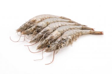 Beyaz arkaplanda taze karides / karides