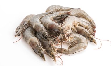 Beyaz arkaplanda taze karides / karides