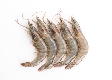 Beyaz arkaplanda taze karides / karides