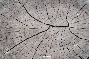 Arkaplan için ahşap doku