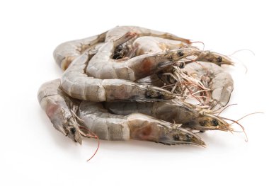 Beyaz arkaplanda taze karides / karides