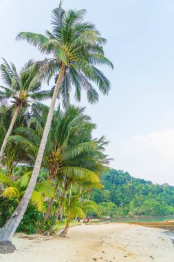 Denizden tropikal Adası'nın genel görünümü