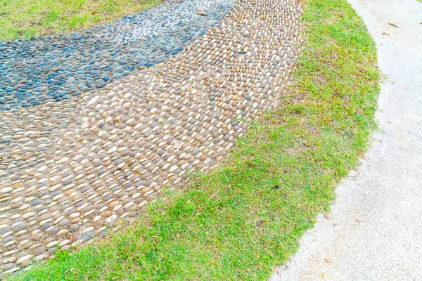 Stone path way for walking around beautiful garden