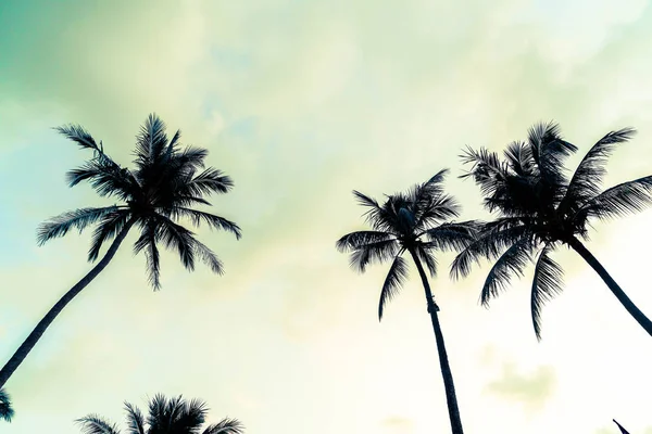 Palmera silueta en la playa y el mar — Foto de Stock