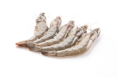 Beyaz arkaplanda taze karides / karides
