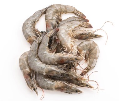 Beyaz arkaplanda taze karides / karides