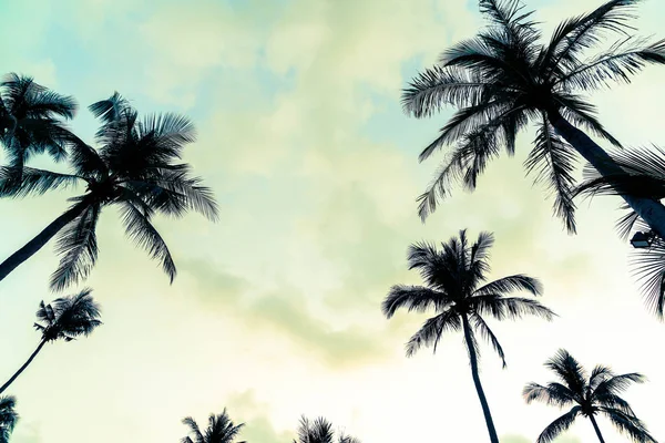 Silhueta palmeira na praia e mar — Fotografia de Stock