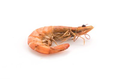 Beyaz arkaplanda taze karides / karides
