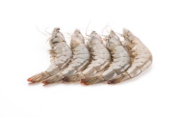 Beyaz arkaplanda taze karides / karides