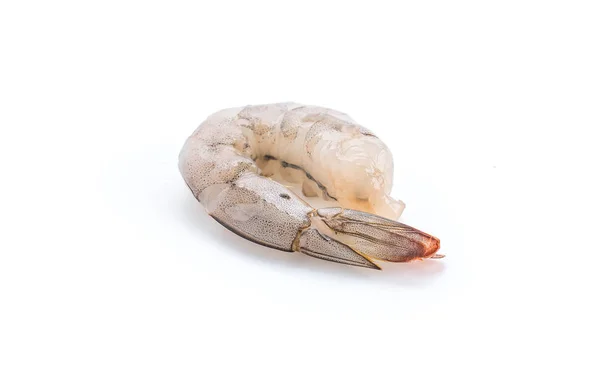 Fresh shrimp / prawn on white background — 스톡 사진