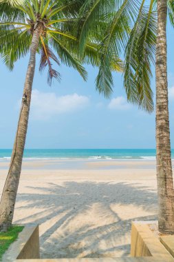 palm Beach ve deniz ile