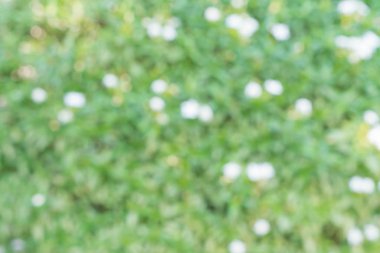 bulanıklık bokeh ışık