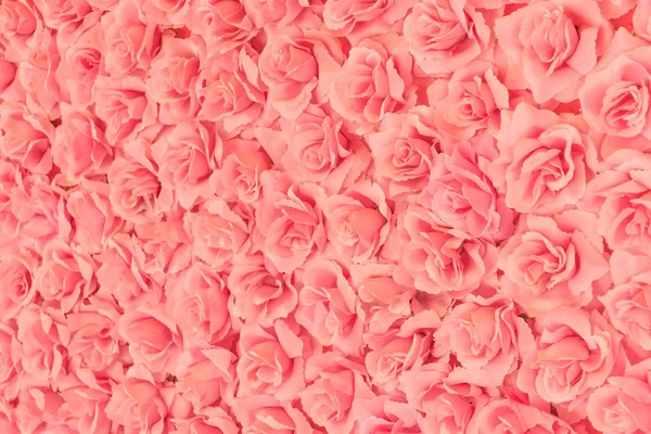 Bellissime rose per sfondo — Foto Stock
