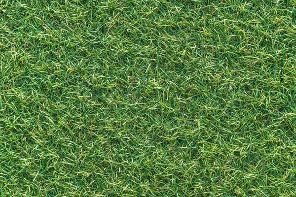 Lege gras achtergrond — Stockfoto