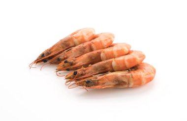 Beyaz arkaplanda taze karides / karides