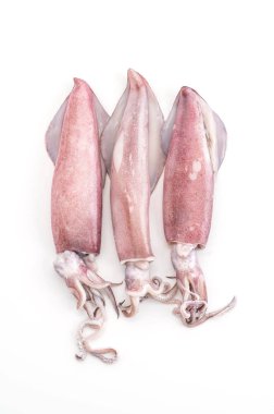 beyaz zemin üzerine taze kalamar