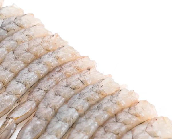 Beyaz arkaplanda taze karides / karides — Stok fotoğraf
