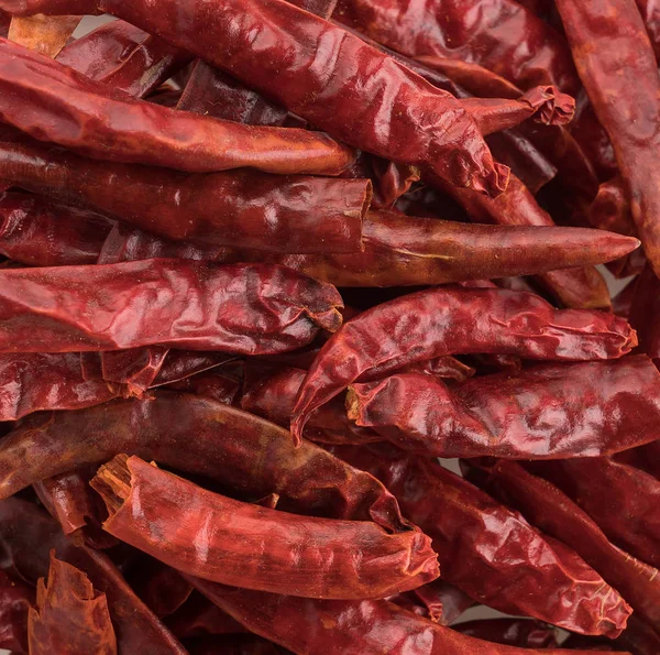 Torkade chili på vit bakgrund — Stockfoto