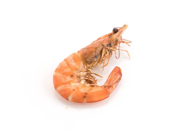 Fresh shrimp / prawn on white background — 스톡 사진