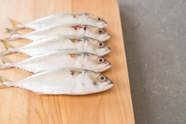 ahşap tahta üzerinde taze uskumru