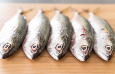 ahşap tahta üzerinde taze uskumru