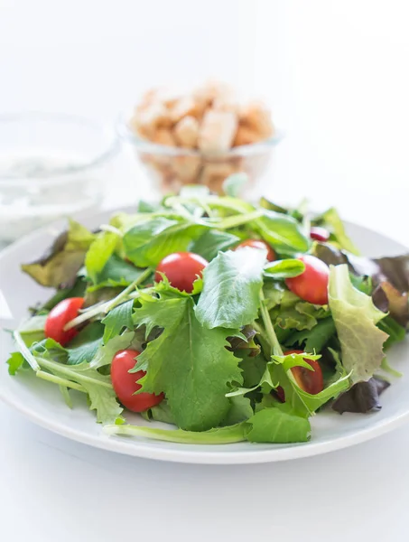 Insalata vegetale fresca — Foto Stock