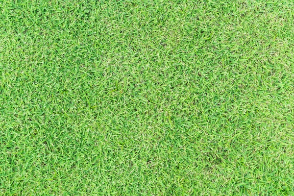 Lege gras voor achtergrond — Stockfoto