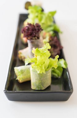 Taze sebze şehriye böreği