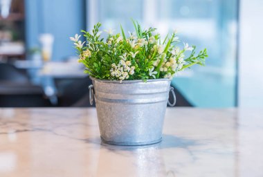 Boş oda ile vazo bitki dekorasyon