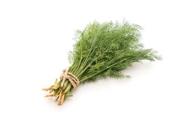 Beyaz üzerine taze dereotu