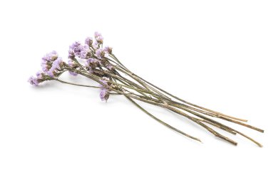 beyaz üzerine kurutulmuş statice