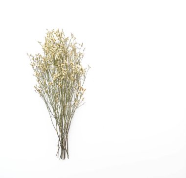 Kurutulmuş Caspia çiçekler