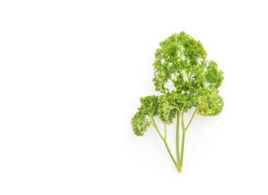 beyaz üzerine taze maydanoz 