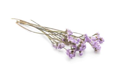 beyaz üzerine kurutulmuş statice