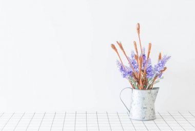 Statice ve caspia cam