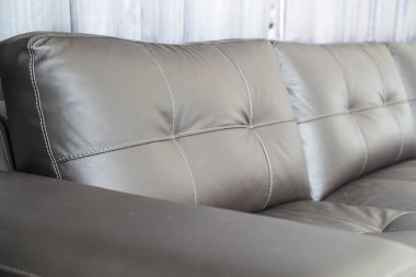  Modern kanepe oturma odasında.