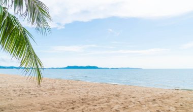 Pattaya Tayland'da palmiye ve tropikal plaj