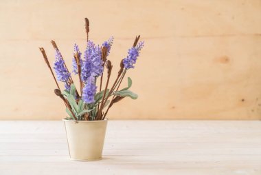 Statice ve caspia çiçekler