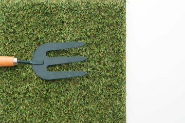 Çatal çimenlerin üzerinde Tırmıklar