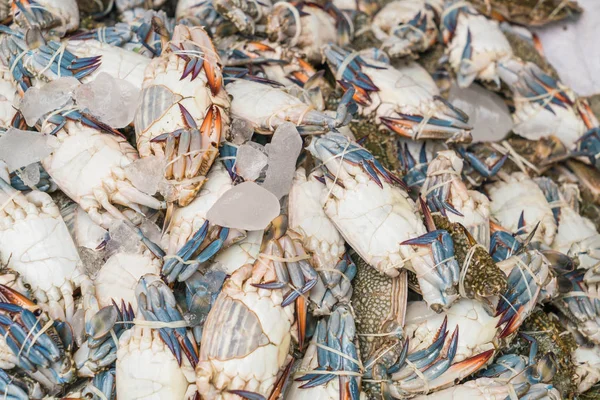 Frische blaue Krabben auf dem Markt — Stockfoto