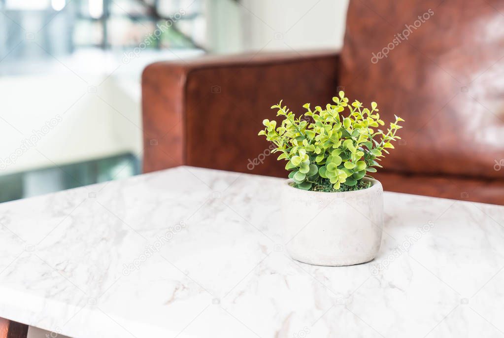 tree in pot decoration on the table in living room