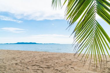 Pattaya Tayland'da palmiye ve tropikal plaj