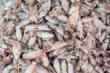 piyasada kurutulmuş kalamar