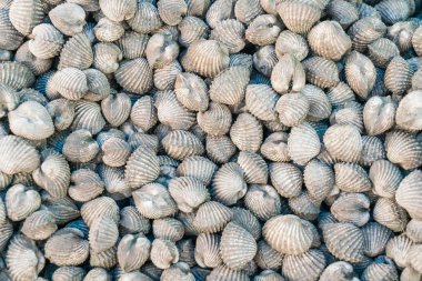 Markette taze kabuklu deniz ürünleri